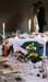 _MG_2326 copy