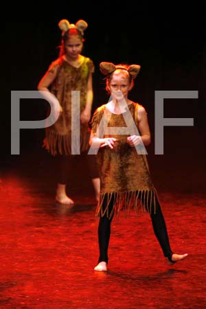 _MG_6292 copy